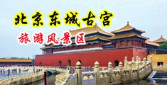 插鸡网站免费视频中国北京-东城古宫旅游风景区